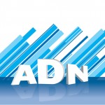 adn